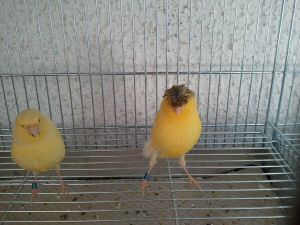2011-05-25 18.20.00.jpg